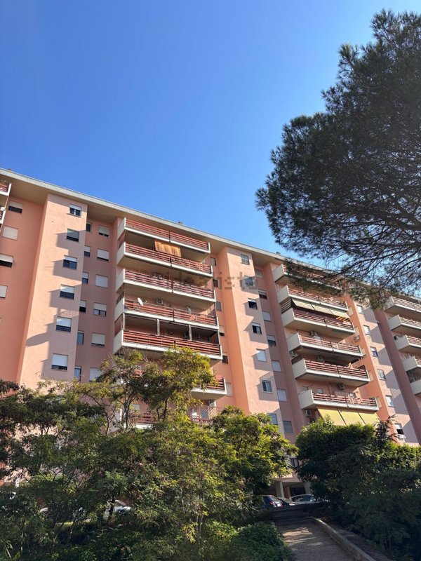 appartamento in vendita a Roma in zona Spinaceto