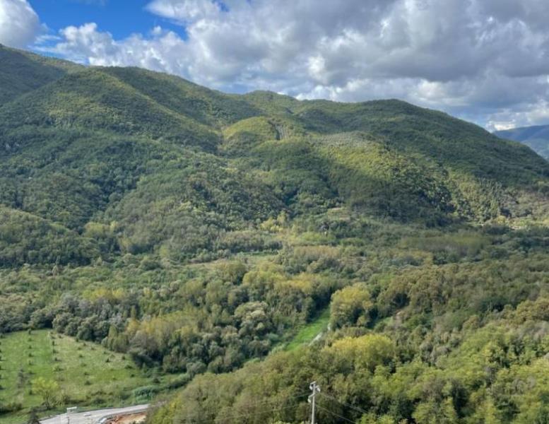 appartamento in vendita a Roviano