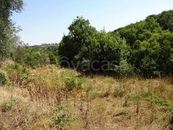 terreno agricolo in vendita a Sacrofano in zona Monte Caminetto