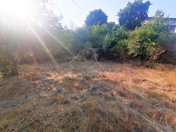 terreno agricolo in vendita a Sacrofano