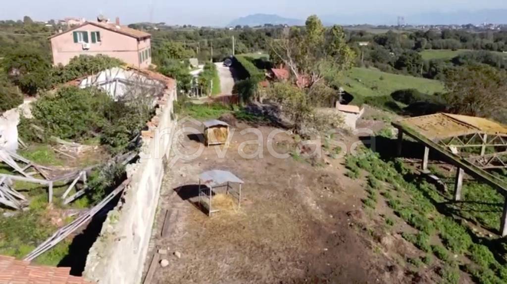 azienda agricola in vendita a Sacrofano