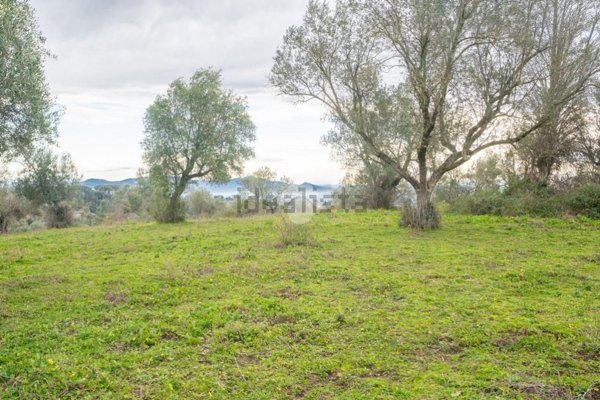 terreno agricolo in vendita a Sacrofano