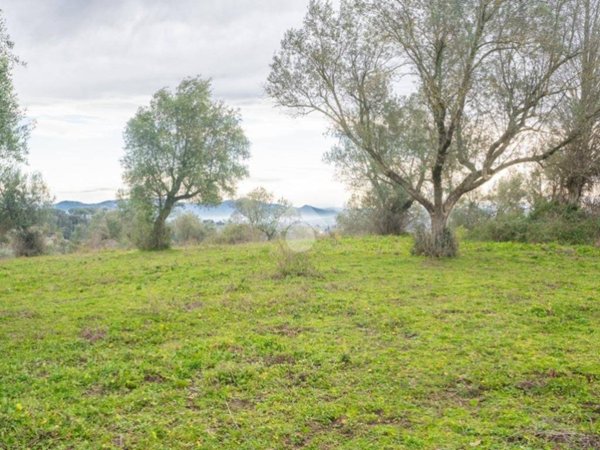 terreno agricolo in vendita a Sacrofano