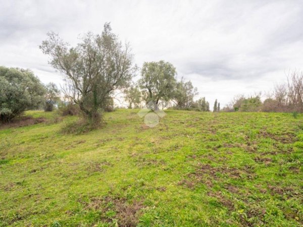 terreno agricolo in vendita a Sacrofano