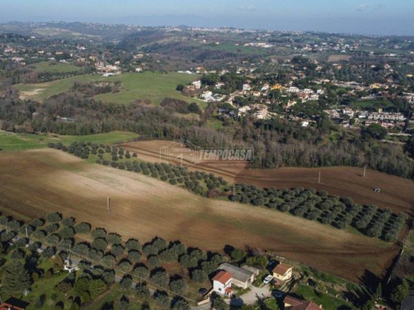 terreno agricolo in vendita a Sacrofano in zona Monte Caminetto