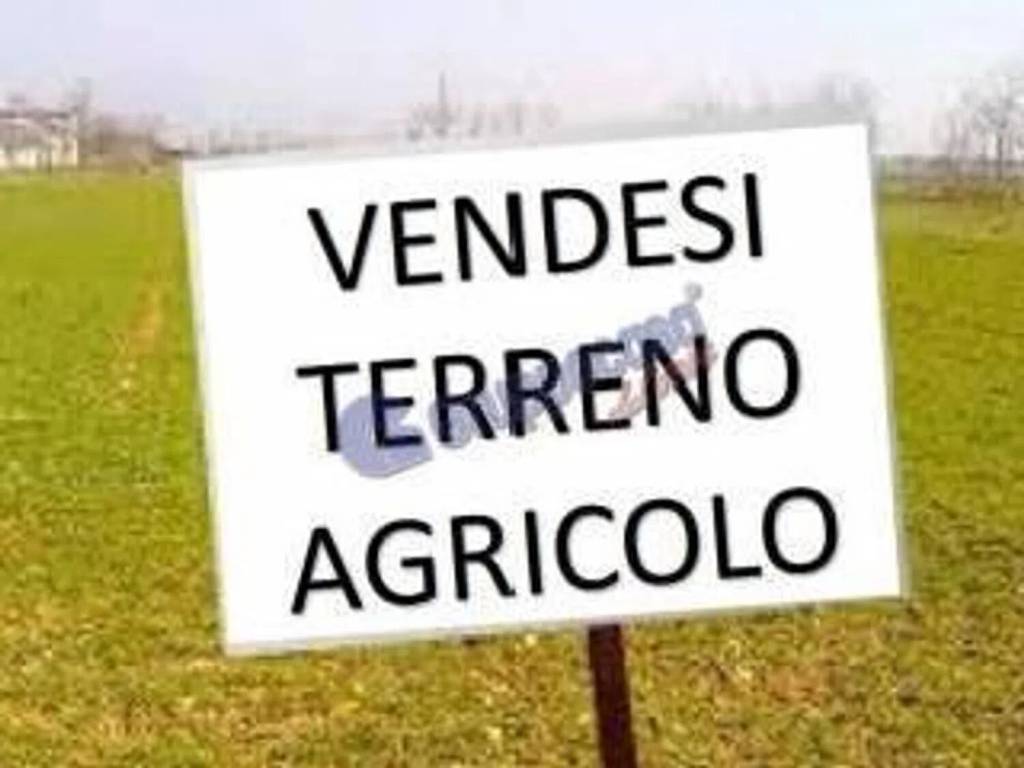 terreno agricolo in vendita a Sacrofano