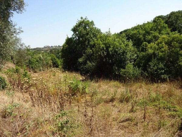 terreno agricolo in vendita a Sacrofano in zona Monte Caminetto