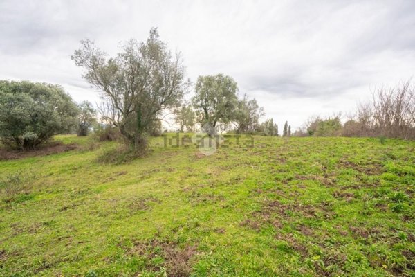 terreno agricolo in vendita a Sacrofano