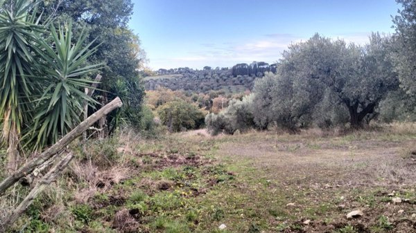 casa indipendente in vendita a Sacrofano