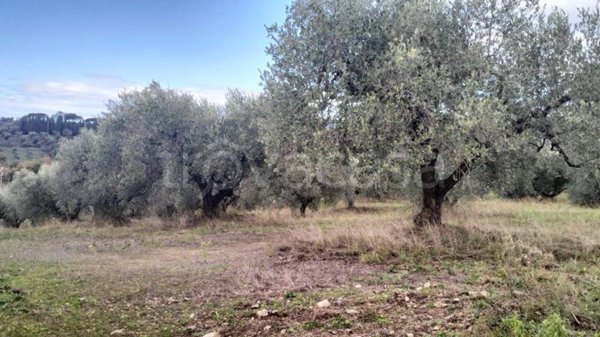 terreno agricolo in vendita a Sacrofano