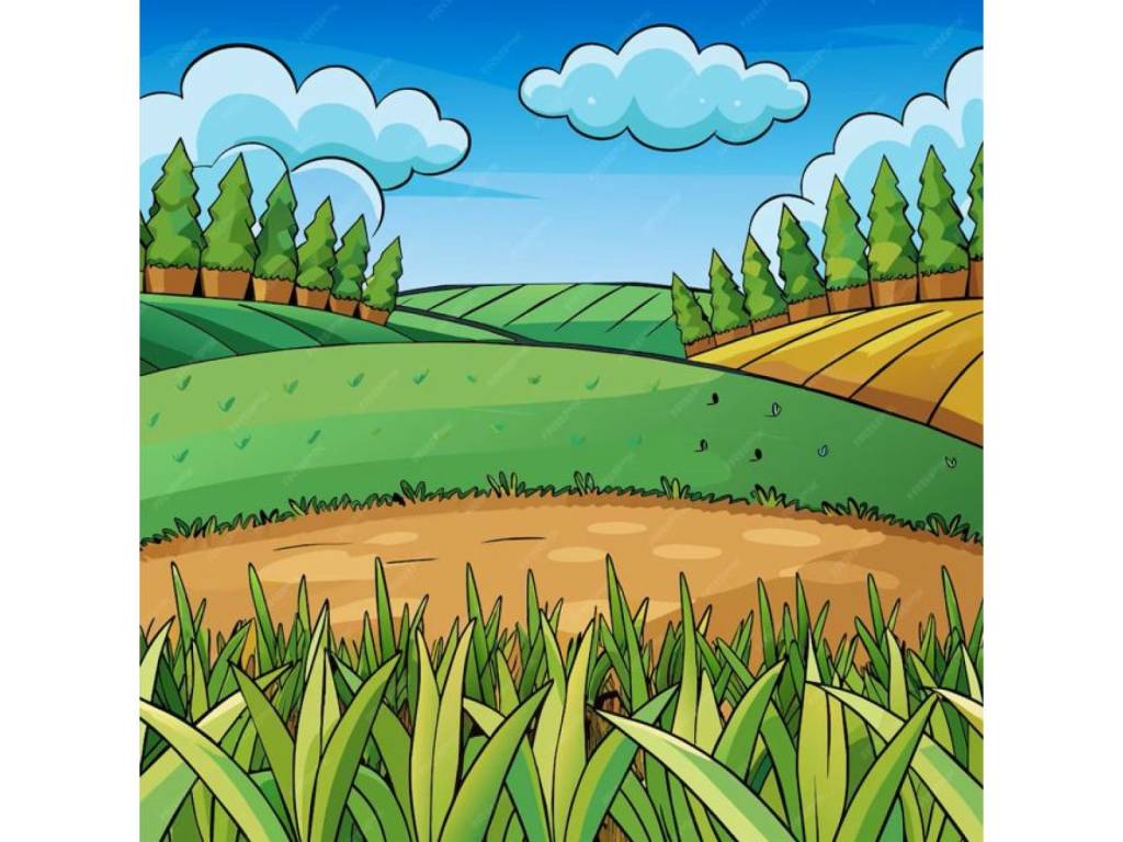 terreno agricolo in vendita a Sacrofano