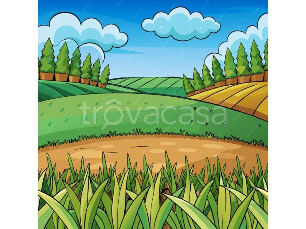 terreno agricolo in vendita a Sacrofano