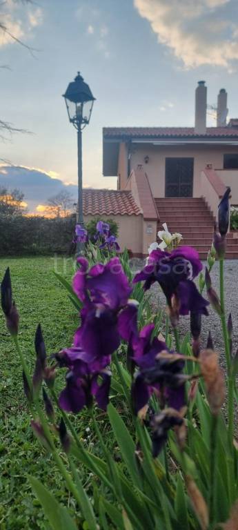 appartamento in vendita a Sacrofano