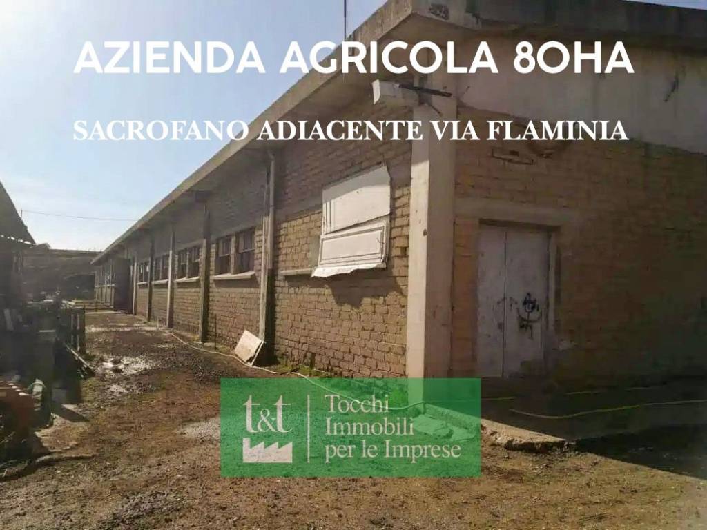 terreno agricolo in vendita a Sacrofano