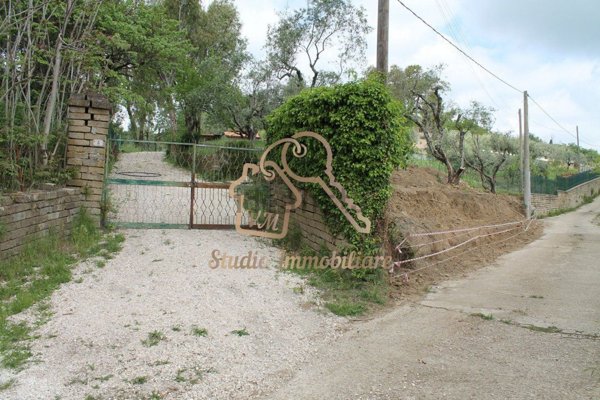 terreno agricolo in vendita a Sacrofano in zona Borgo Pineto