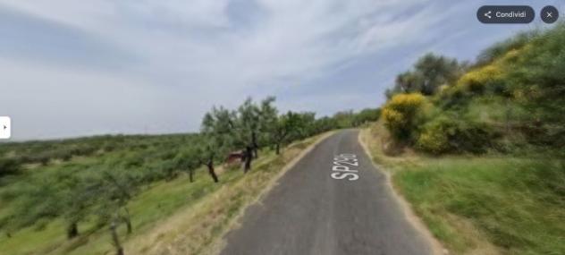 appartamento in vendita a San Gregorio da Sassola