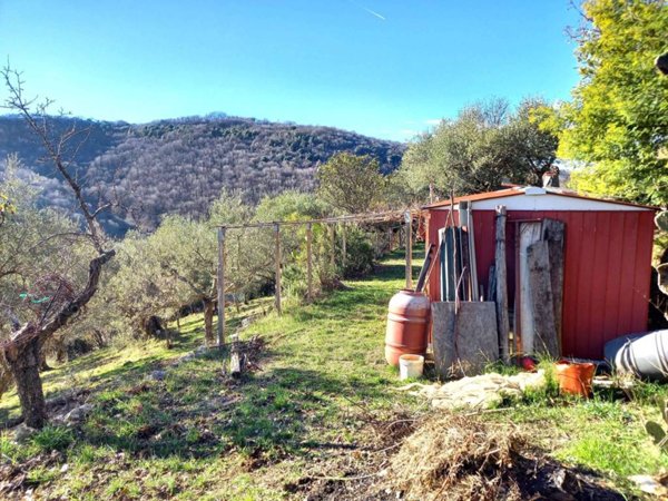 terreno agricolo in vendita a San Polo dei Cavalieri