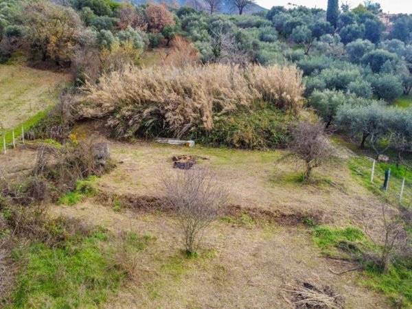 terreno agricolo in vendita a San Polo dei Cavalieri