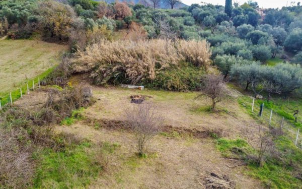 terreno agricolo in vendita a San Polo dei Cavalieri
