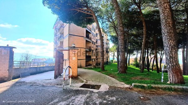appartamento in vendita a San Polo dei Cavalieri