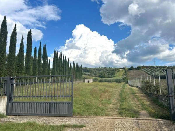 terreno agricolo in vendita a San Polo dei Cavalieri