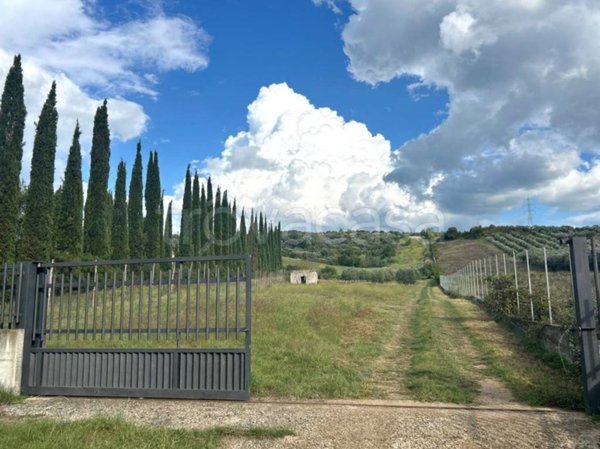 terreno agricolo in vendita a San Polo dei Cavalieri