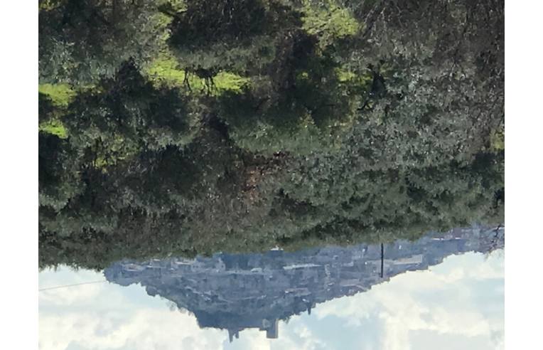 terreno agricolo in vendita a San Polo dei Cavalieri