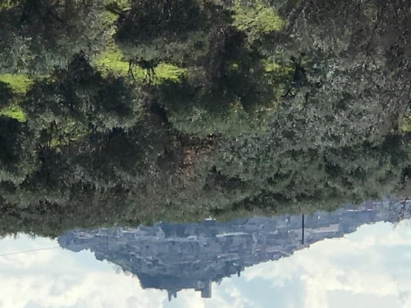 terreno agricolo in vendita a San Polo dei Cavalieri