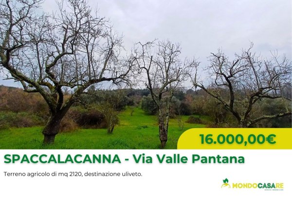 terreno agricolo in vendita a San Polo dei Cavalieri