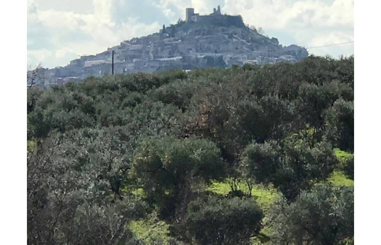 terreno agricolo in vendita a San Polo dei Cavalieri