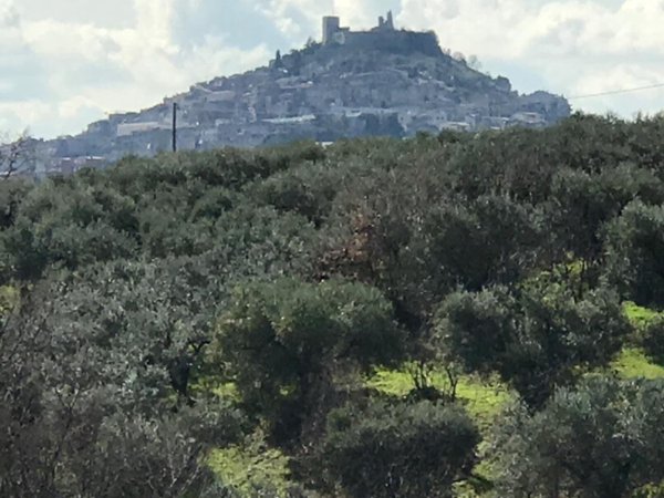 terreno agricolo in vendita a San Polo dei Cavalieri