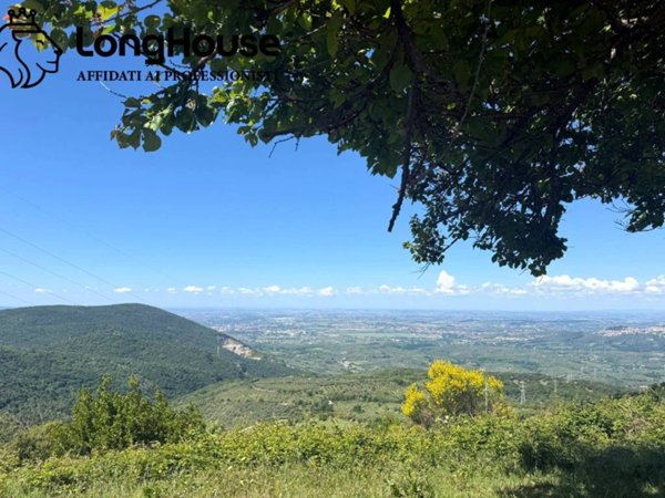 appartamento in vendita a San Polo dei Cavalieri