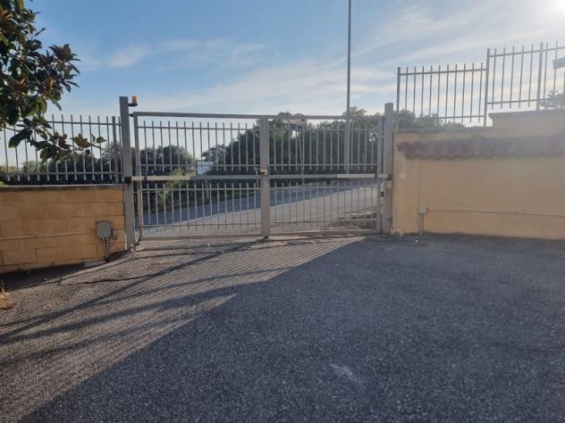 negozio in vendita a Santa Marinella