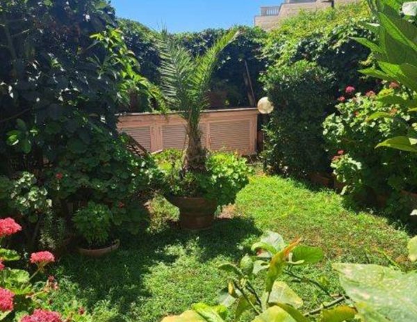 appartamento in vendita a Santa Marinella