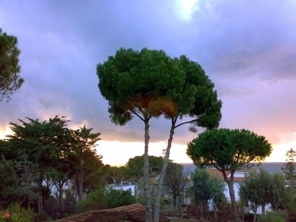 appartamento in vendita a Santa Marinella