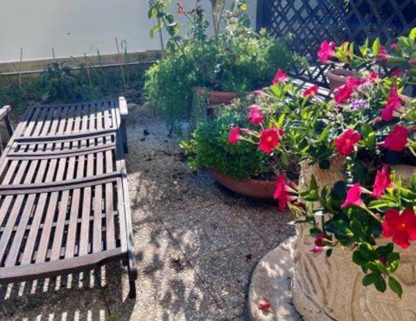 appartamento in vendita a Santa Marinella