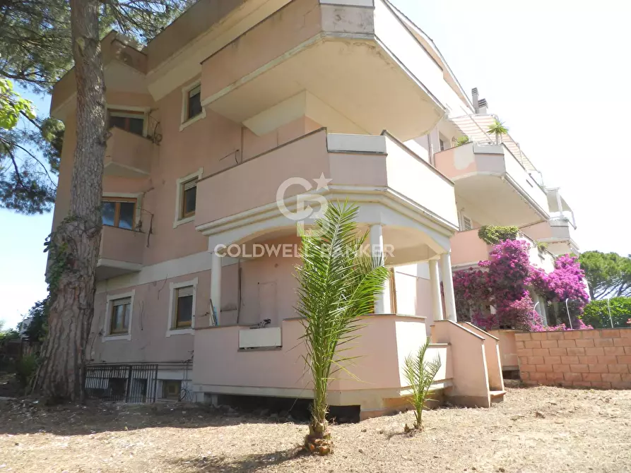 appartamento in vendita a Santa Marinella