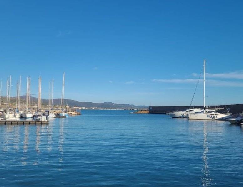 esavano in vendita a Santa Marinella