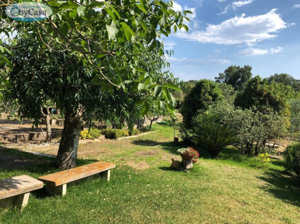 terreno agricolo in vendita a Santa Marinella