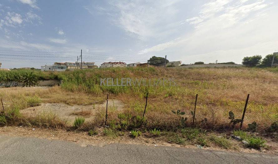 terreno agricolo in vendita a Santa Marinella