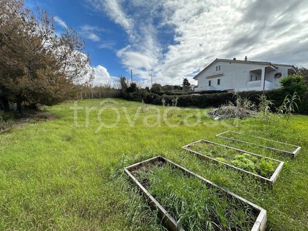 terreno agricolo in vendita a Santa Marinella
