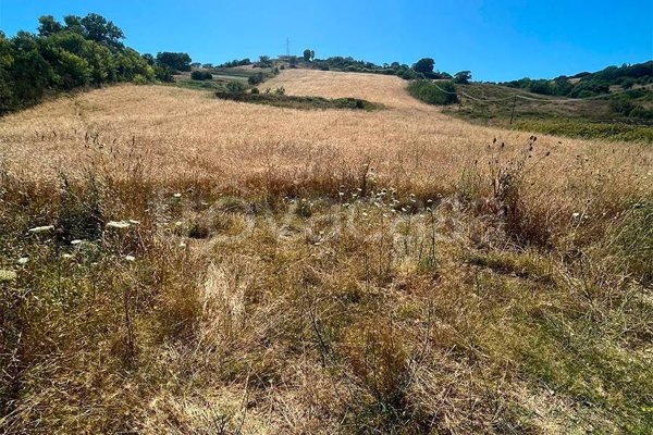 terreno agricolo in vendita a Santa Marinella