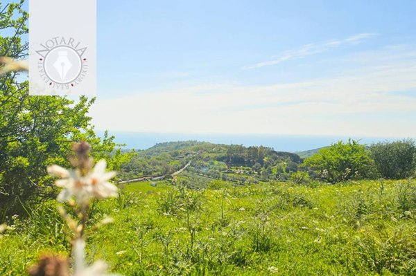 terreno agricolo in vendita a Santa Marinella