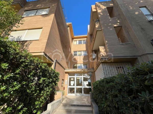 appartamento in vendita a Santa Marinella