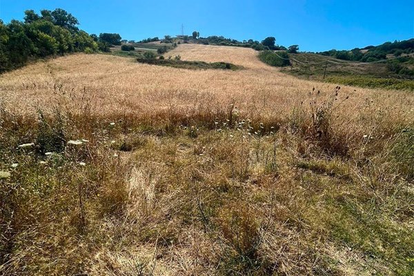 terreno agricolo in vendita a Santa Marinella