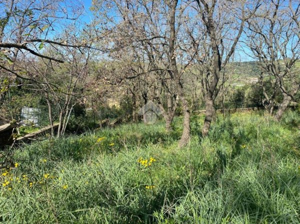 terreno agricolo in vendita a Santa Marinella