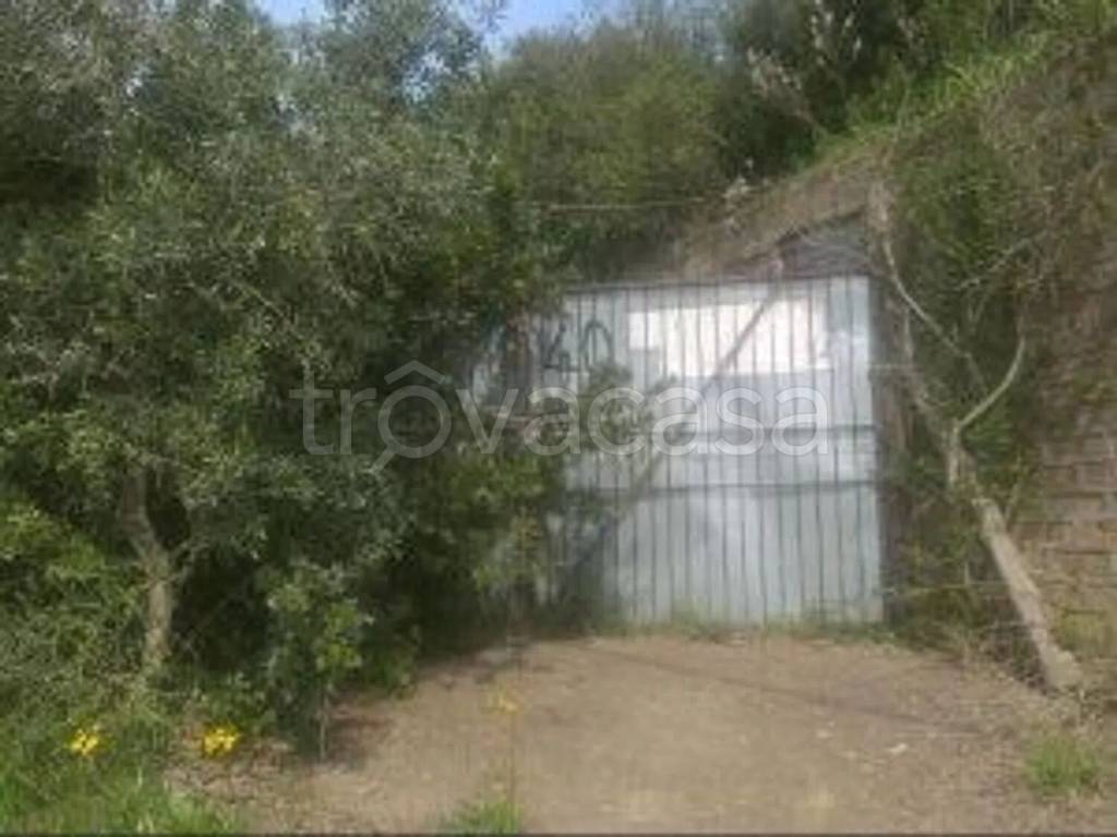 terreno agricolo in vendita a Santa Marinella