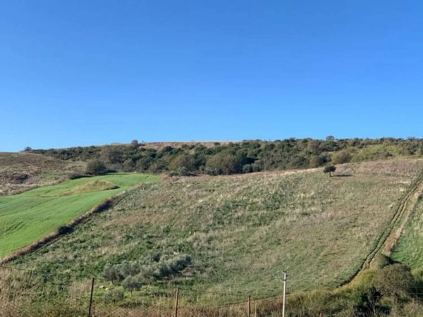 terreno agricolo in vendita a Santa Marinella