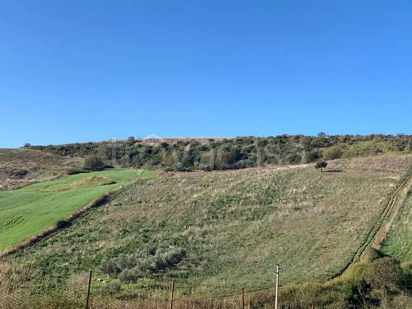terreno agricolo in vendita a Santa Marinella
