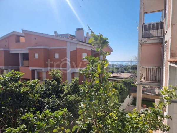 appartamento in vendita a Santa Marinella